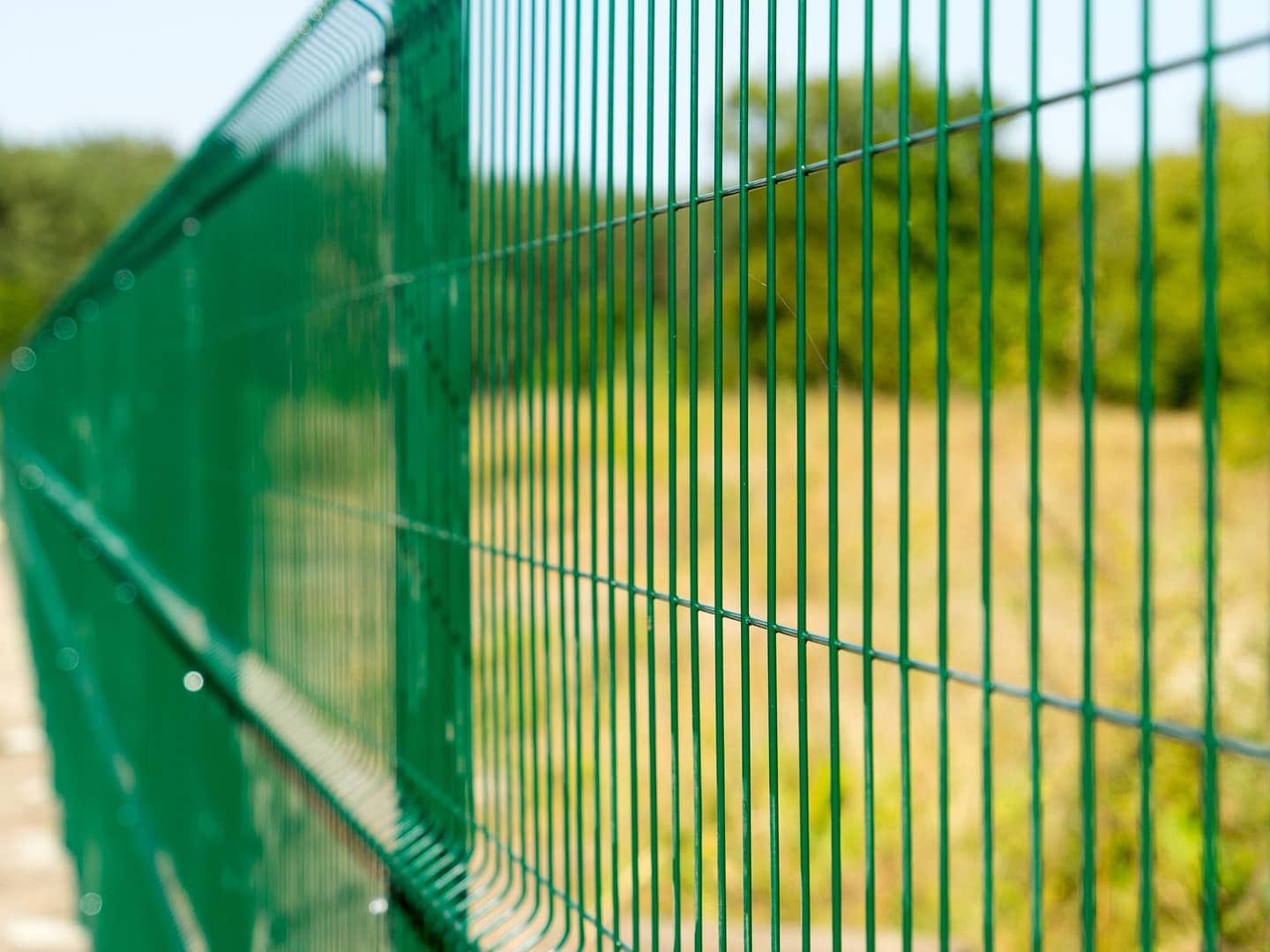 Green wire mesh security fence