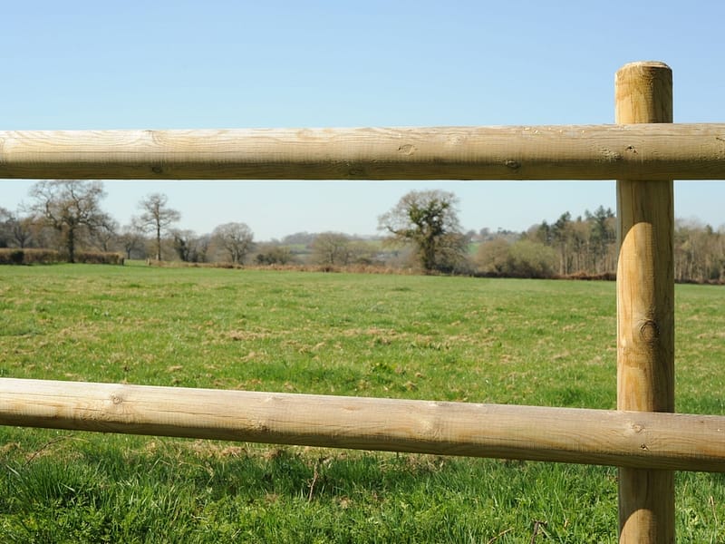 Post and rail fencing