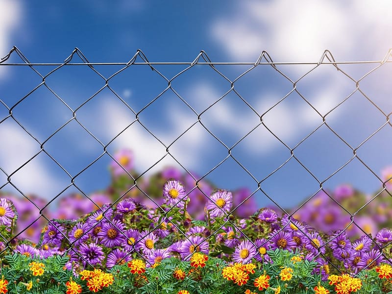 chain link fence