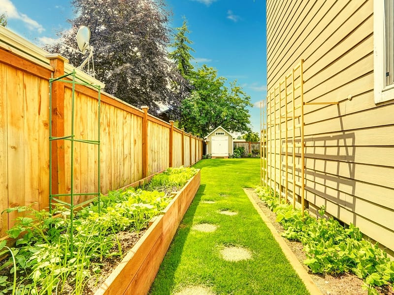 Tongue and groove fence panels side of house