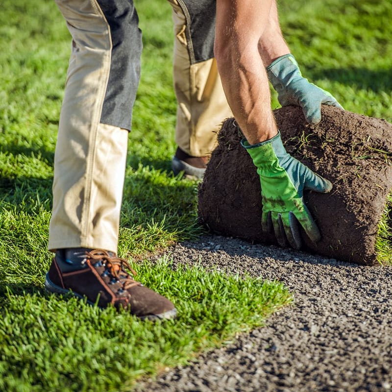 landscaper-laying-turf